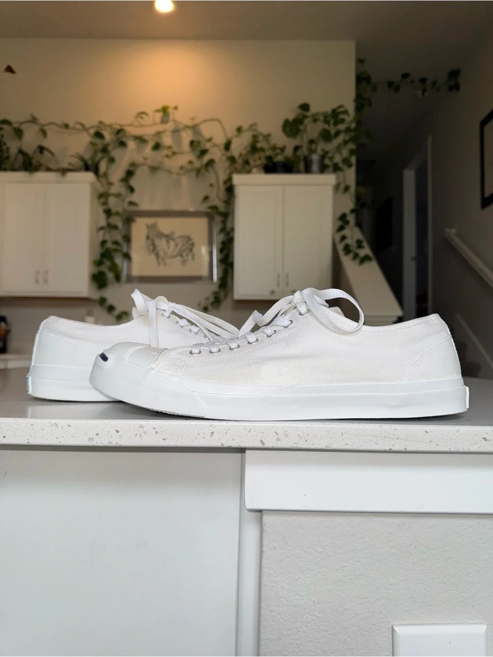 Classic Converse Jack Parcell White Low-Top Canvas Sneakers - Men's